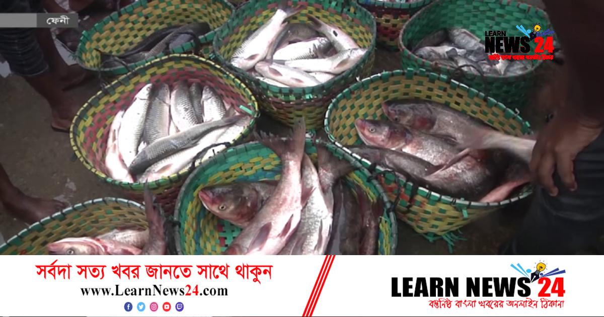 ফেনীতে কমেছে মাছের সরবরাহ