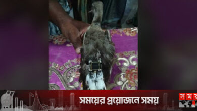 মহেশখালীতে ইলেকট্রনিক্স ডিভাইসযুক্ত পাখি উদ্ধার