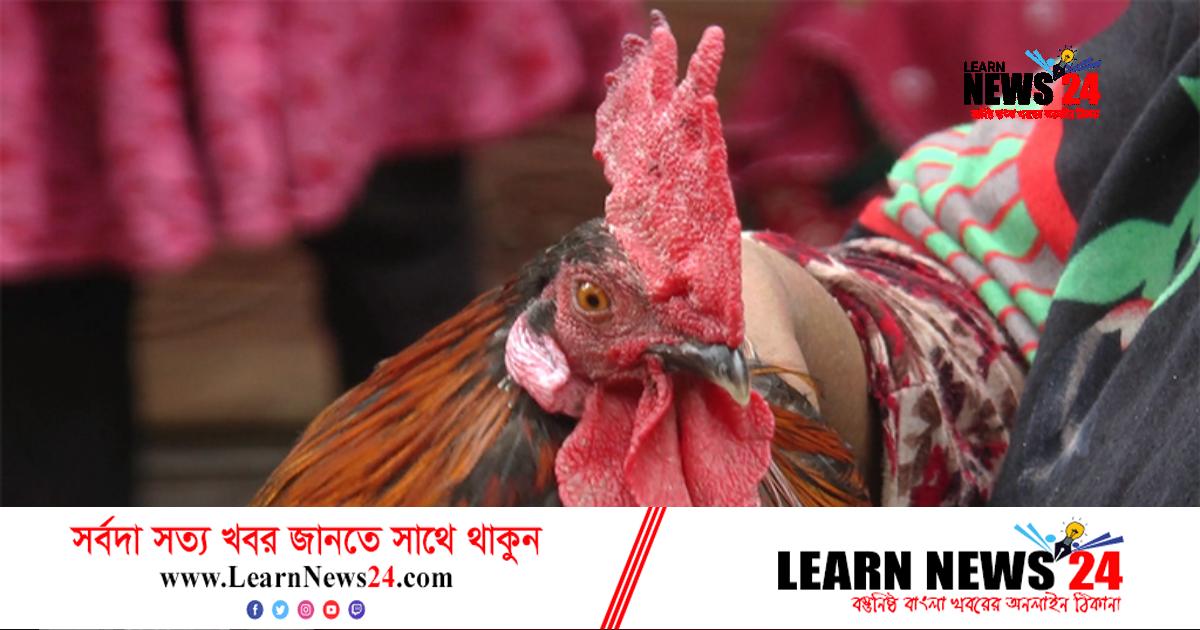 মোরগের কণ্ঠে আল্লাহ আল্লাহ ডাক!