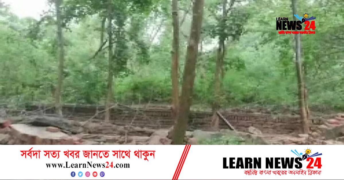 লখনৌতে দেয়াল ধসে ৯ জনের মৃত্যু