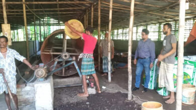 দাগনভূঞায় জৈব সার তৈরি করে স্বাবলম্বী সাইফুল, গড়ে তুুলেছেন কারখানা দাগনভূঞায় জৈব সার তৈরি করে স্বাবলম্বী সাইফুল, গড়ে তুুলেছেন কারখানা