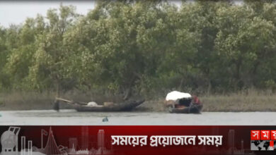 সুন্দরবনে কাঁকড়া ধরার অভিযোগে জেলে আটক