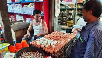 সোনাগাজীতে হাঁসের ডিমের হালি ৬৪ টাকা, মুরগির ৫০