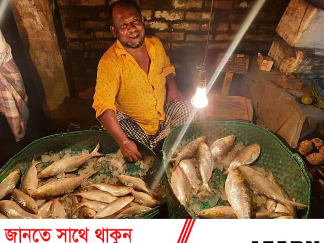 সোনাগাজীর বড় ফেনী নদীতে দুই সপ্তাহ পর ধরা পড়ল বড় ৫০টি ইলিশ