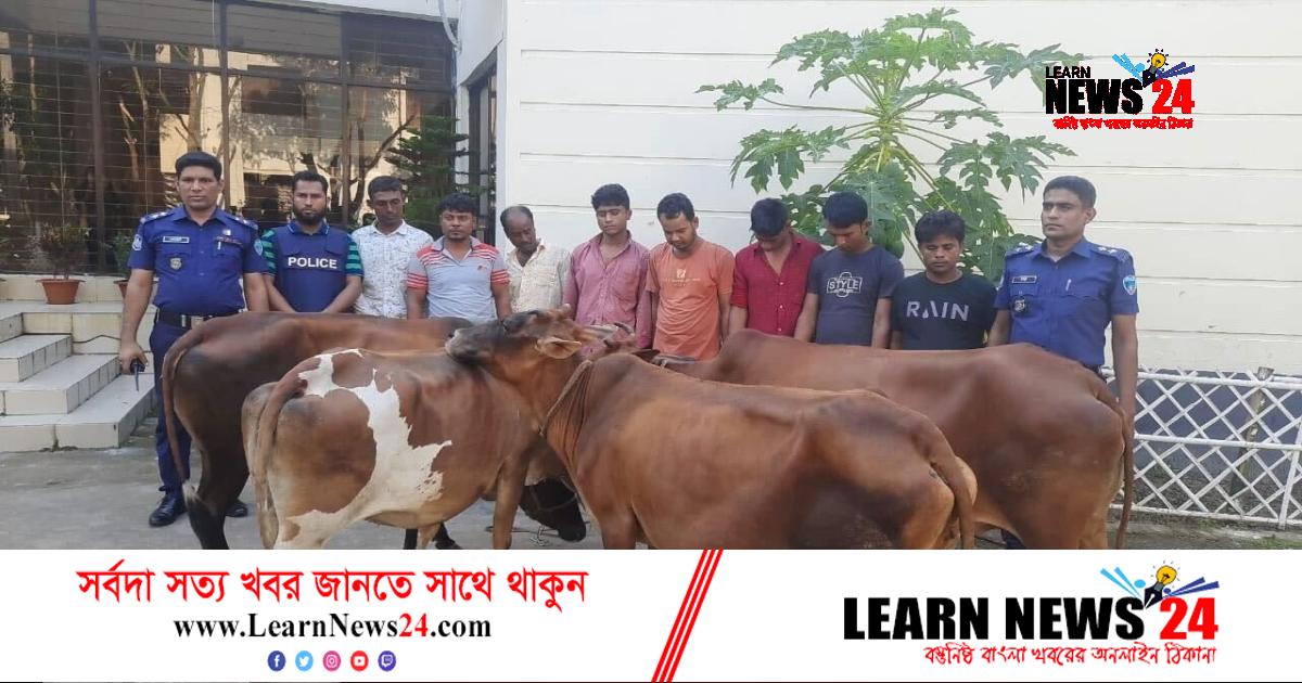 সোনাগাজীতে অস্বাভাবিকভাবে বেড়ে চলেছে গরু চুরি, যুবলীগ নেতাসহ গ্রেফতার ৮