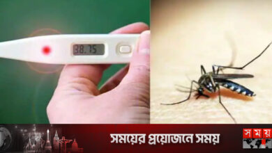 ভারতেও ডেঙ্গুর হানা, ভাঙতে পারে আক্রান্তের রেকর্ড