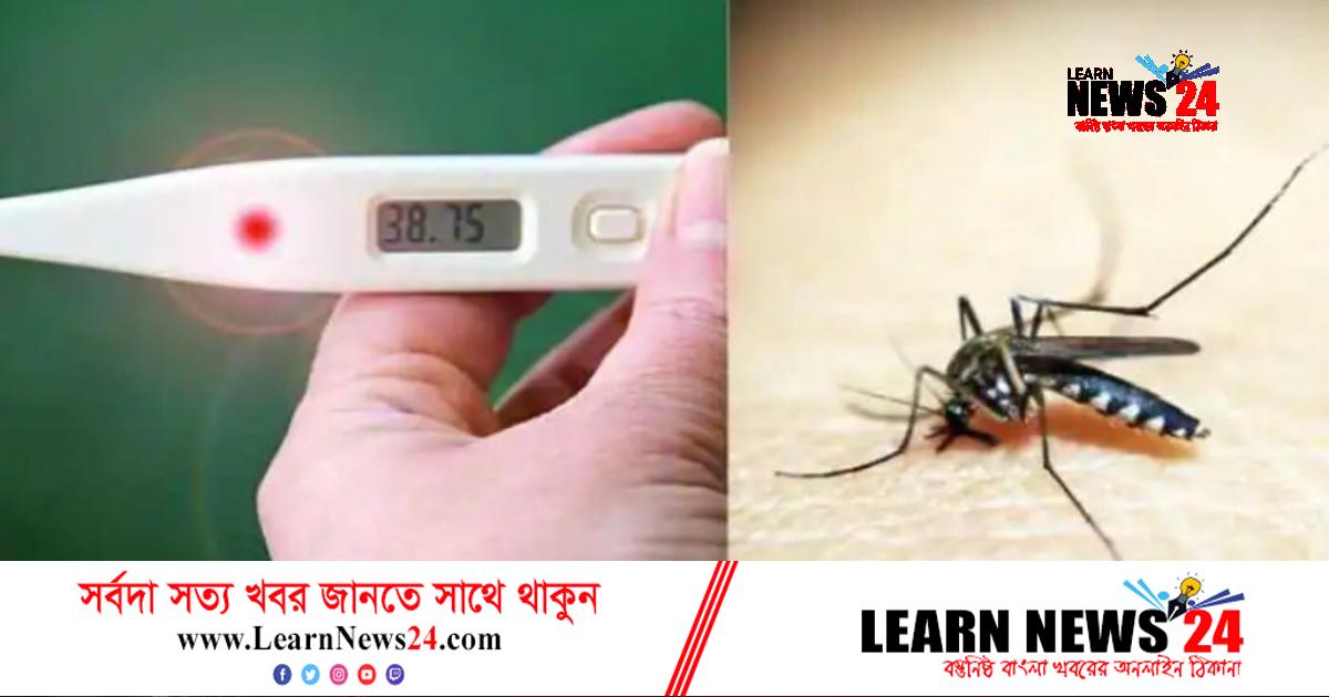 ভারতেও ডেঙ্গুর হানা, ভাঙতে পারে আক্রান্তের রেকর্ড