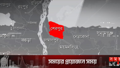 শেরপুরে জনসম্মুখে কুপিয়ে হত্যা