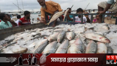 ভারতে ইলিশ রফতানির মেয়াদ বাড়ল