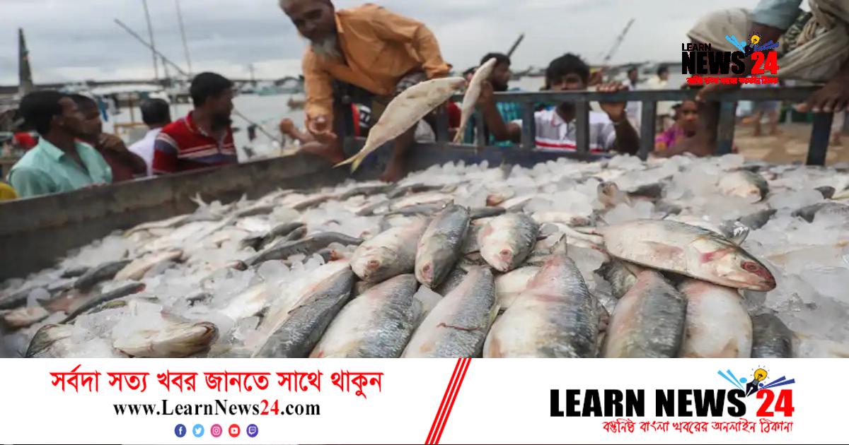 ভারতে ইলিশ রফতানির মেয়াদ বাড়ল ভারতে ইলিশ রফতানির মেয়াদ বাড়ল