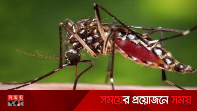 ২৪ ঘণ্টায় ডেঙ্গু আক্রান্ত হয়ে মৃত্যু তিন
