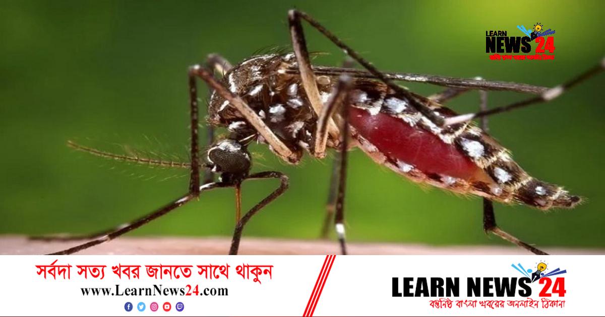 ২৪ ঘণ্টায় ডেঙ্গু আক্রান্ত হয়ে মৃত্যু তিন