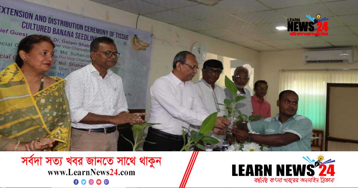 দেশে উন্নত জাতের কলা উদ্ভাবন