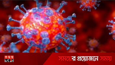 দেশে করোনার তাণ্ডব অনেক কমলো
