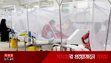 ডেঙ্গুতে মৃত্যু-শনাক্তে নতুন রেকর্ড