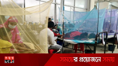 দেশে চোখ রাঙাচ্ছে ডেঙ্গু, বেড়েছে মৃত্যু