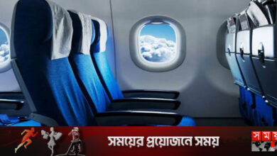 বিমানের আসনে নীল রঙের প্রাধান্য কেন থাকে?