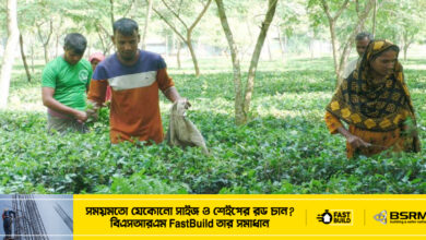 ৫০ শতাংশ ছাড়ে চাপাতা বিক্রি করছেন চাষিরা