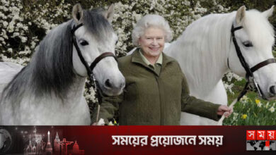 রানির প্রিয় ঘোড়াগুলো বেঁচে দিচ্ছেন রাজা চার্লস