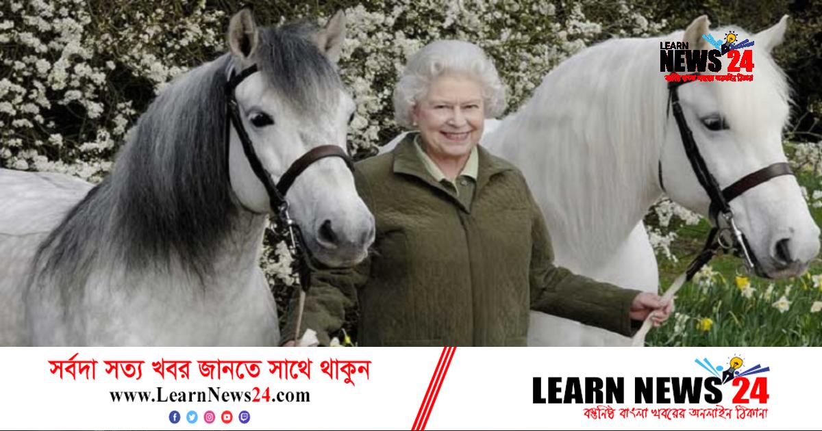 রানির প্রিয় ঘোড়াগুলো বেঁচে দিচ্ছেন রাজা চার্লস