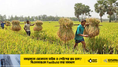 কৃষকদের ১৩৭ কোটি টাকা প্রণোদনা দেবে মন্ত্রণালয়