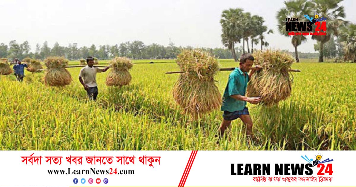 কৃষকদের ১৩৭ কোটি টাকা প্রণোদনা দেবে মন্ত্রণালয় কৃষকদের ১৩৭ কোটি টাকা প্রণোদনা দেবে মন্ত্রণালয়