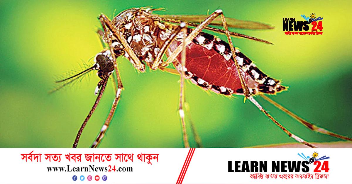 বর্ষায় মশা দূর করার ঘরোয়া উপায়