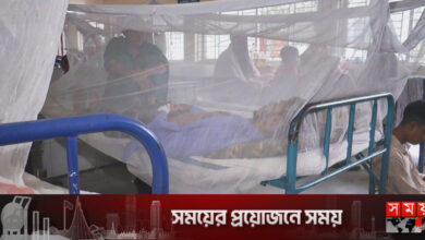 মাদারীপুরে ডেঙ্গু রোগীর সংখ্যা ২৫০ ছাড়িয়েছে