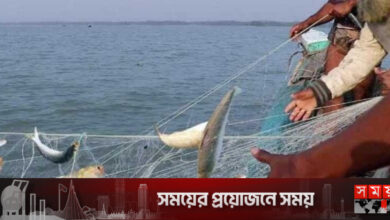 মধ্যরাত থেকে ইলিশ ধরায় নিষেধাজ্ঞা