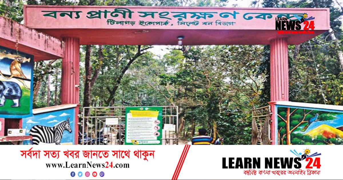 ধ্বংসের দ্বারপ্রান্তে সিলেটের বন্যপ্রাণী সংরক্ষণ কেন্দ্র ধ্বংসের দ্বারপ্রান্তে সিলেটের বন্যপ্রাণী সংরক্ষণ কেন্দ্র