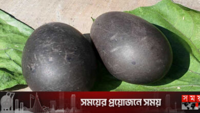 কুড়িগ্রামে কালো ডিম দিচ্ছে হাঁস!