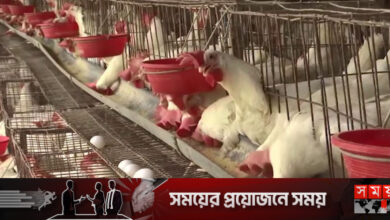 ‘মাছ-মাংস, ডিম খাওয়া ছাইড়্যা দিছি’