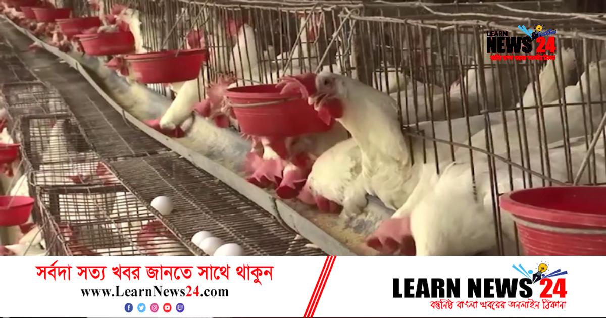 ‘মাছ-মাংস, ডিম খাওয়া ছাইড়্যা দিছি’ ‘মাছ-মাংস, ডিম খাওয়া ছাইড়্যা দিছি’