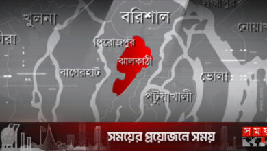 ছাগলের জন্য পাতা আনতে গিয়ে ধর্ষণের শিকার শিশু