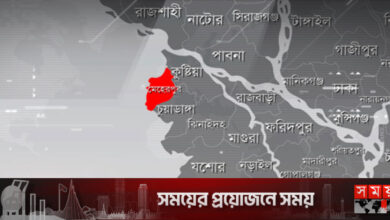 মেহেরপুরে ভ‍্যান উল্টে বাবা নিহত, ছেলে আহত