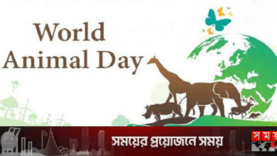 বিশ্ব প্রাণী দিবস মঙ্গলবার