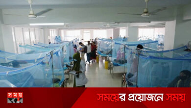 ২৪ ঘণ্টায় তিন শতাধিক ডেঙ্গু রোগী হাসপাতালে