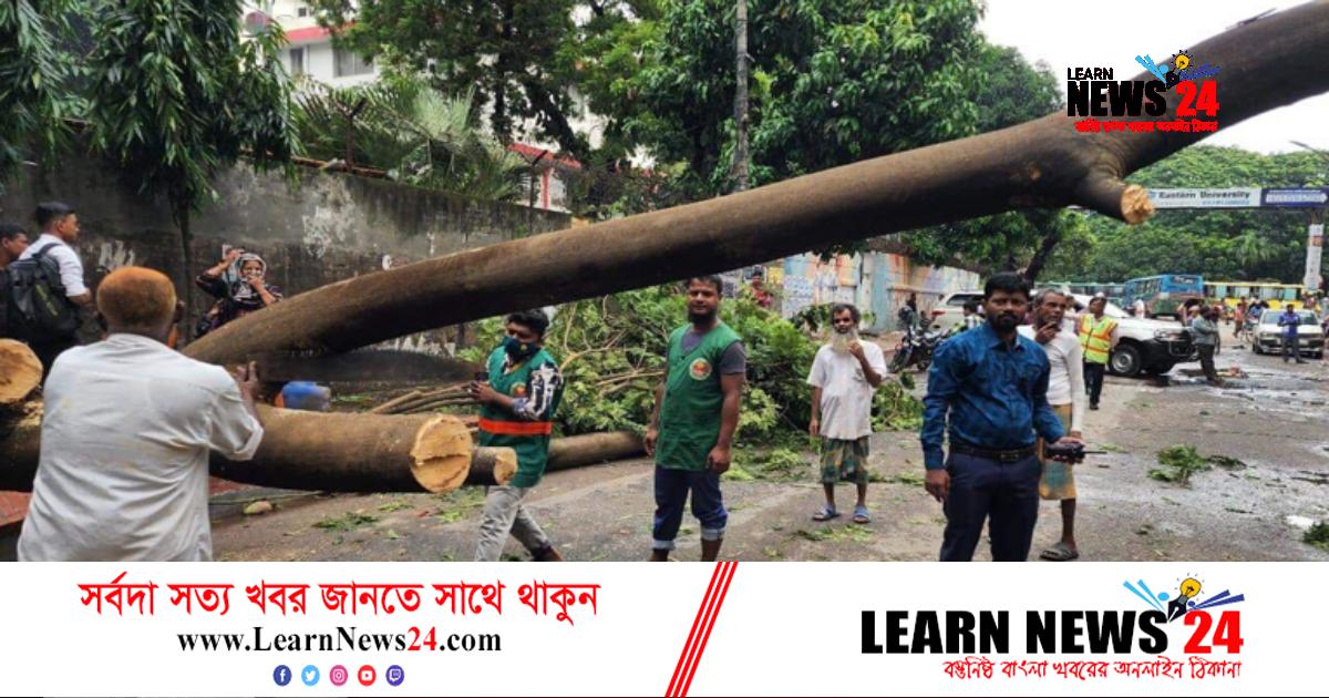 ঢাকা দক্ষিণে ভেঙে পড়েছে শতাধিক গাছ, যান চলাচল বিঘ্নিত ঢাকা দক্ষিণে ভেঙে পড়েছে শতাধিক গাছ, যান চলাচল বিঘ্নিত
