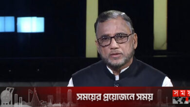 ডলফিন সংরক্ষণে সরকার কাজ করছে: পরিবেশমন্ত্রী