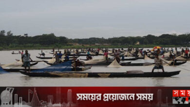 হালদা নদীতে মিলল ‘ইলিশ’