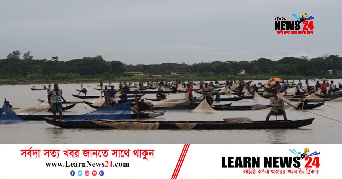 হালদা নদীতে মিলল ‘ইলিশ’