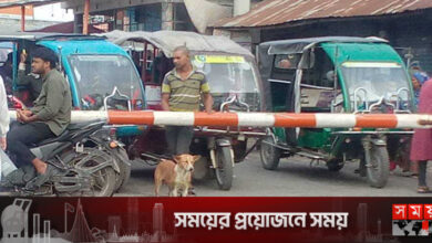 রেলগেটে কুকুরের নিয়ম মানার ছবি ভাইরাল