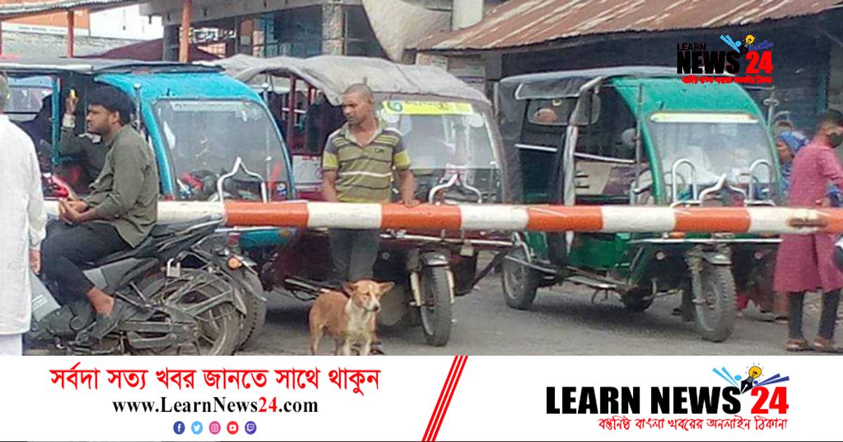 রেলগেটে কুকুরের নিয়ম মানার ছবি ভাইরাল