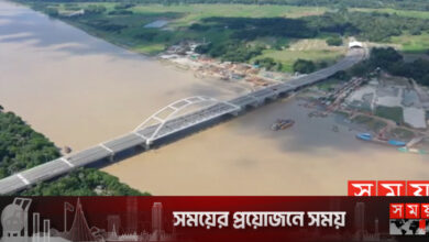 রাত ১২টা থেকে মধুমতী সেতুতে চলবে গাড়ি, চলবে রিকশাও