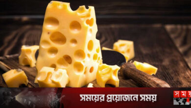 কীভাবে এলো চিজ বা পনির?