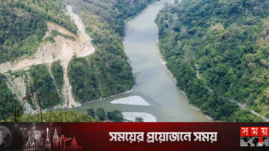 তিস্তা প্রকল্পের 'চিকেন নেক' কাহিনি