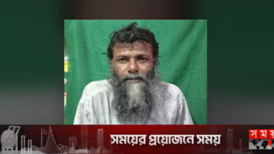 বাঘ ঘুরছে নিচে, ভয়ে ওমর উঠে বসে গাছে