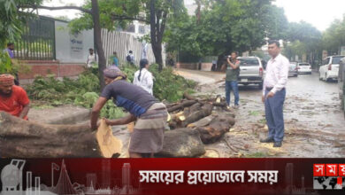 ঢাকা উত্তরে ভেঙে পড়া ২ শতাধিক গাছ অপসারণ