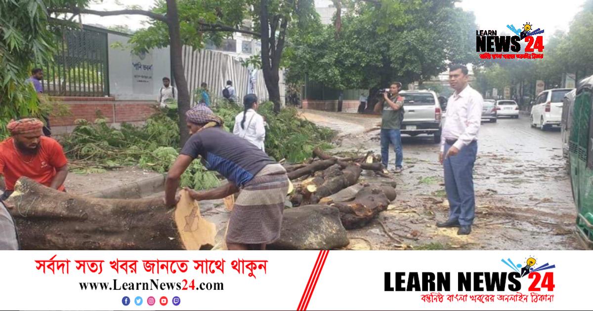 ঢাকা উত্তরে ভেঙে পড়া ২ শতাধিক গাছ অপসারণ ঢাকা উত্তরে ভেঙে পড়া ২ শতাধিক গাছ অপসারণ