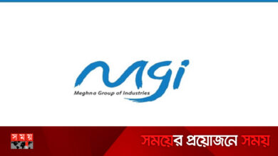 মেঘনা গ্রুপে চাকরির সুযোগ